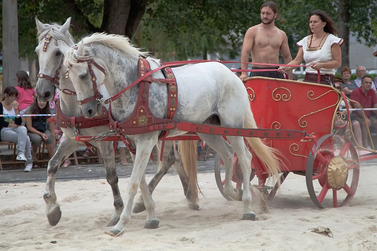 chariot
